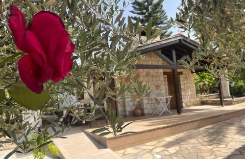 Anarita Villa | DEMICHANNA POOL HOUSE AND LUXURY SUITE WITH PRIVATE POOL