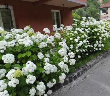 Sumece Villa | Demmir