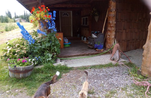 Cohoe Bed & Breakfast | Den bunk room sleeps 3 with hot breakfast