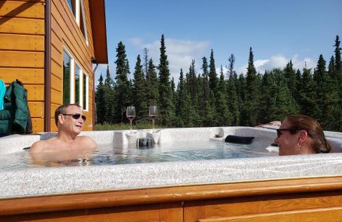 Healy House | Denali Wild Stay - Bear Cabin with Hot Tub and Free Wifi, Private, sleep 6