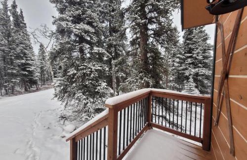 Healy House | Denali Wild Stay - Muskrat cabin, private, free wifi, free parking, sleep 4