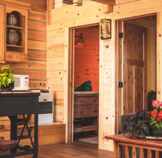 Healy House | Denali Wild Stay - Redfox Cabin, Free Wifi, private, sleep 6