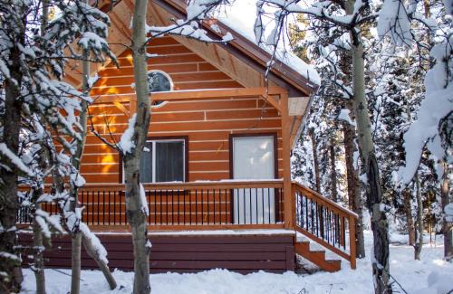 Healy House | Denali Wild Stay - Redfox Cabin, Free Wifi, private, sleep 6