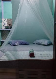 Bukit Lawang Hotel | Dendi guest house & orang utan explore