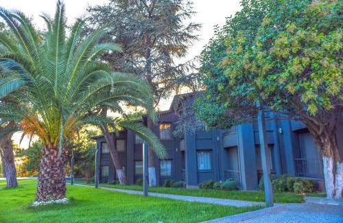 Sultanahmet Hotel | Denizatı Plus Hotel