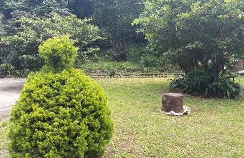 Turuk Bed & Breakfast | Denzong House