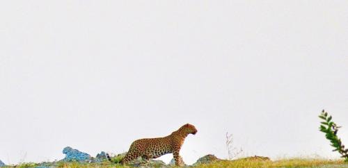 Devgarh House | Deogarh Hills A Village Experience Property