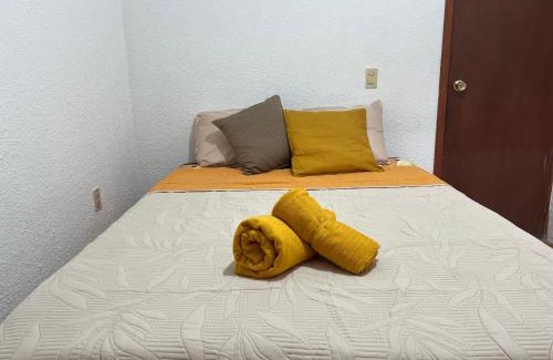 San Cristobal de las Casas Apartment | Departamento Río Verde