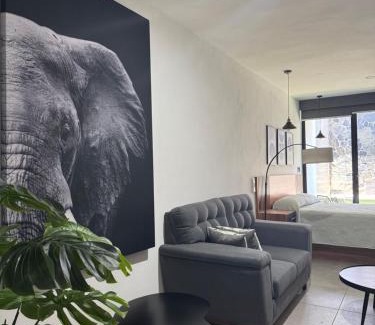 Colima Apartment | Departamento Colima 1
