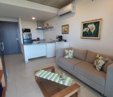 Asuncion Apartment | Departamento en Barrio Mburucuya