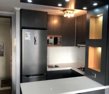 Providencia Apartment | Departamento en el Corazon de Providencia