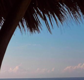 Brisas de Zicatela Apartment | Depita a pie de playa