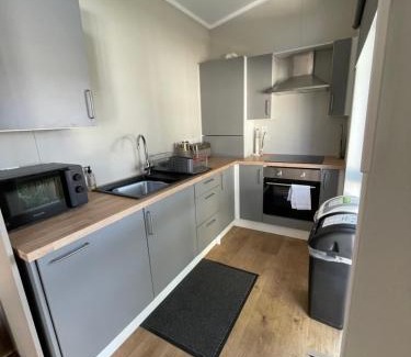 Aberystwyth Resort | Derw View Green Lodge