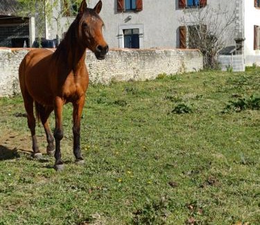 Villembits House | Des Racines et des Rêves