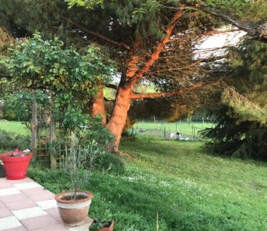 Civray-de-Touraine Bed & Breakfast | Des Roux et des Pious Suite de 35 à 60 m2 et 3 chambres pour groupe de 2 à 6 personnes