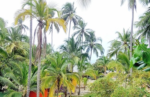 Guachaca Hotel | Descubre un paraíso tropical a solo 1 hora de Santa Marta