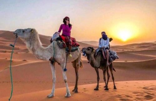 Taouz Hotel | Desert Berber Fire Camp
