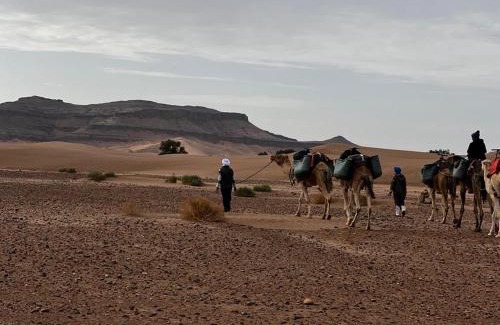 M'Hamid El Ghizlane Other | Desert Walking Camel Tours