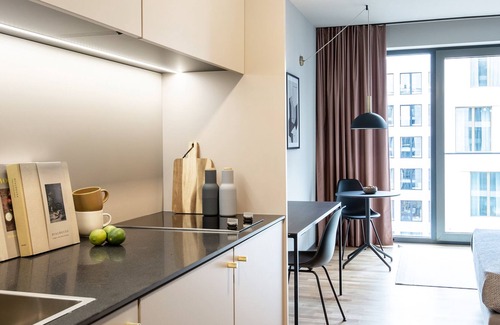 Darmstadt House | Design Serviced Apartment in Darmstadt - Zentrum, Langzeit, Dachterrasse