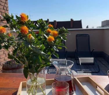 Mitte Apartment | Designer Penthouse in St Johannes, toller Ausblick über den Dächern Nürnbergs