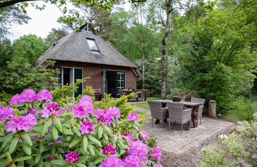 Hooghalen House | Detached bungalow with alcove bed, perfect for families in Drenthe.