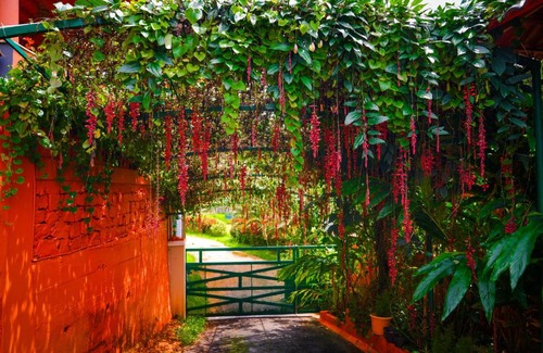 Madikeri Bed & Breakfast | Deva Maani Coorg Nature Holiday