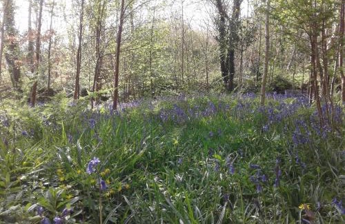 Ballinrobe Bed & Breakfast | Devenish Lodge B&B
