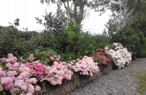 Ballinrobe Bed & Breakfast | Devenish Lodge B&B