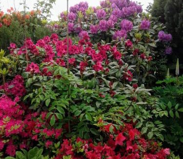 Ballinrobe Bed & Breakfast | Devenish Lodge B&B