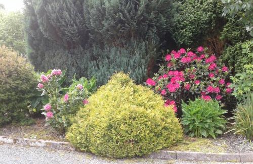 Ballinrobe Bed & Breakfast | Devenish Lodge B&B