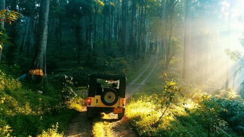 Devikolam House | Dew Drops Farm Resorts