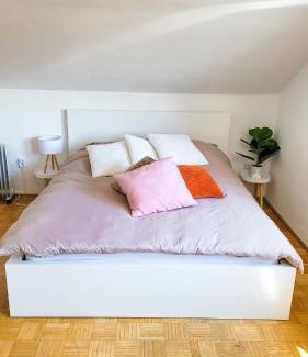 Freilassing Apartment | DG L- 40m2 2-Zimmer Wohnung nähe Salzburg