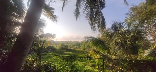 Quilon House | Dhyana Bindhu Home Stay