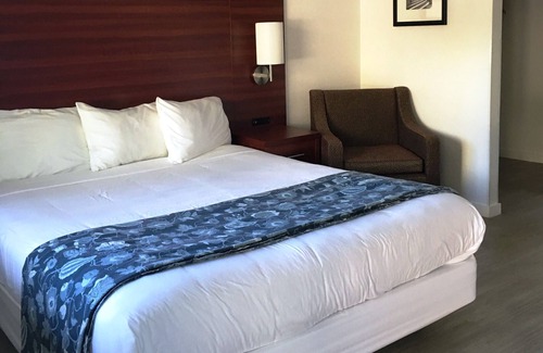 Walnut Creek Hotel | Diablo Mountain Inn - Walnut Creek
