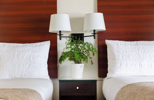 Walnut Creek Hotel | Diablo Mountain Inn - Walnut Creek