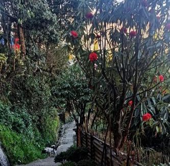 Darjeeling House | Diamond Nor Homestay