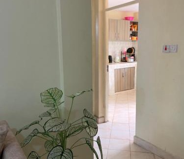 Meru Apartment | Diana Homes