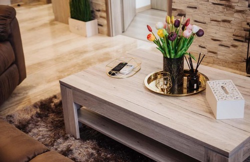 Cluj-Napoca Apartment | Diandra Residence