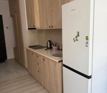 Bakuriani Apartment | Didveli Residence Apartment