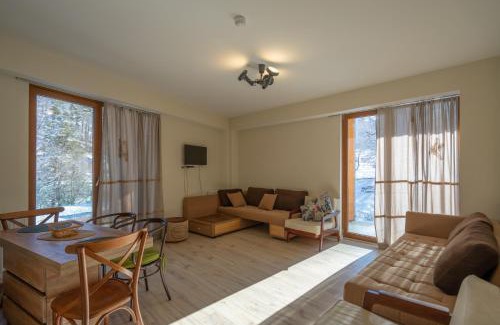 Bakuriani Apartment | Didveli Valley Bakuriani