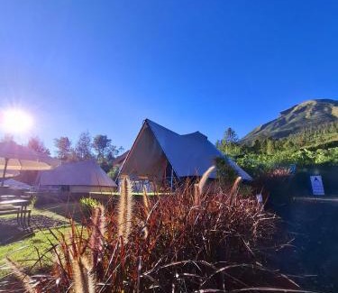 Kejajar Hotel | Dieng Latar Alam Tambi