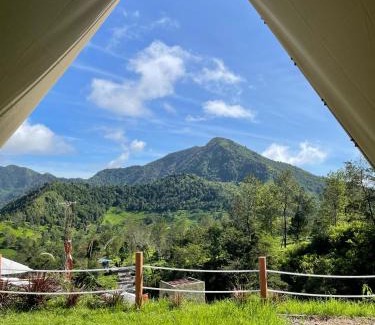 Kejajar Hotel | Dieng Latar Alam Tambi