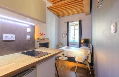 Carnot - Gailleton House | Dify Apartment Ainay
