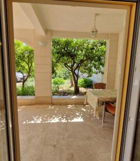 Zelenka House | Dijana