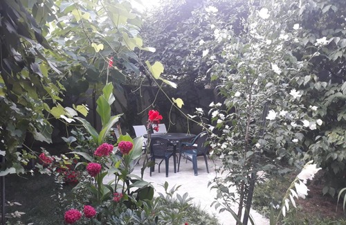 Telavi House | Dima's Guesthouse