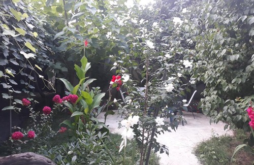 Telavi House | Dima's Guesthouse