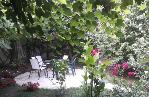 Telavi House | Dima's Guesthouse