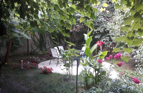 Telavi House | Dima's Guesthouse
