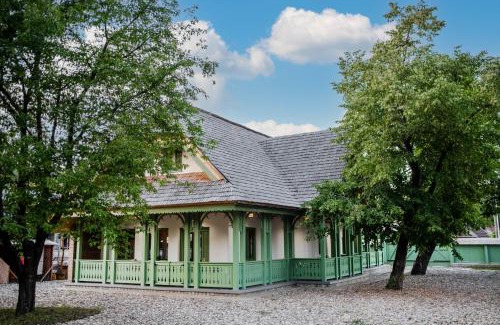 Piatra Neamt House | Dimineți în Cerdac