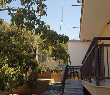 Skala Kallirachis Apartment | Dimitra's Garden Apartments